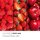 3er Set Duftkerze Haribo Frucht Power - Berry Mix, Coconut Lime, Tropical Fun -  3 x 85g