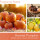 Duftkerze Harvest Pumpkin - 311g
