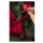 Display Duftstäbchen 24 Stück - O Christmas Tree